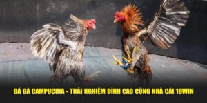 Đá Gà Campuchia - Trải Nghiệm Đỉnh Cao Cùng Nhà Cái 18win